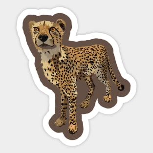 Be A Cheetah Sticker